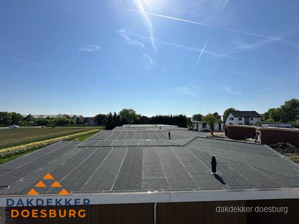 Groot plat dak met bitumen dakbedekking op bedrijfspand in Doesburg