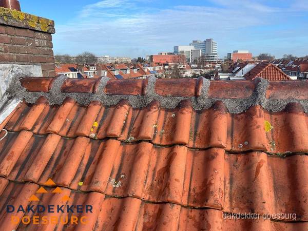 Pannendak met nokvorst en schoorsteen, dakrenovatie in Doesburg