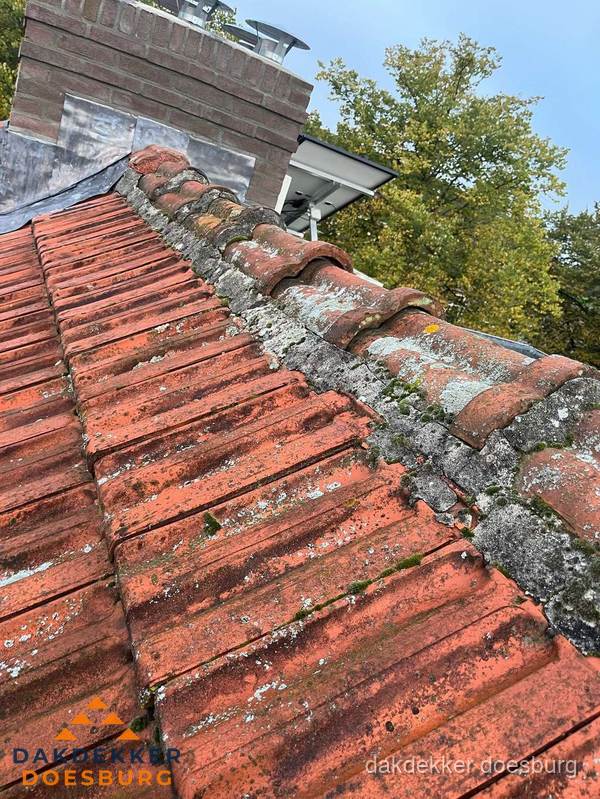 Verweerd hellend dak met mosgroei op nokvorst in Doesburg